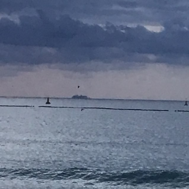 Active Steppers Carla post image