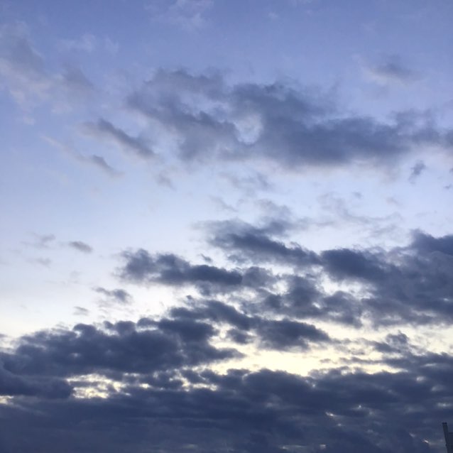 Active Steppers Carla post image