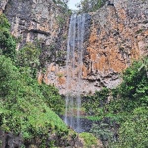Tracy🦘🐨🇦🇺