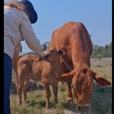 Tracy🦘🐨🇦🇺 post 2