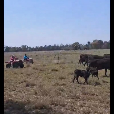 Tracy🦘🐨🇦🇺 post 1