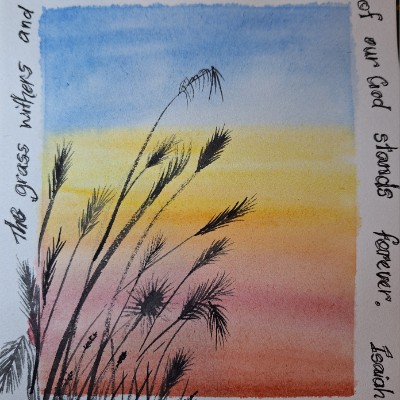 Tracy🦘🐨🇦🇺 post 1