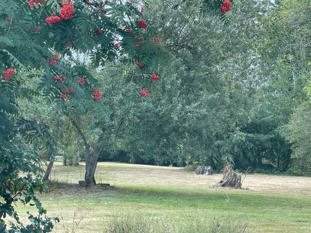 walking near me in Nelson Nature Park in autumn