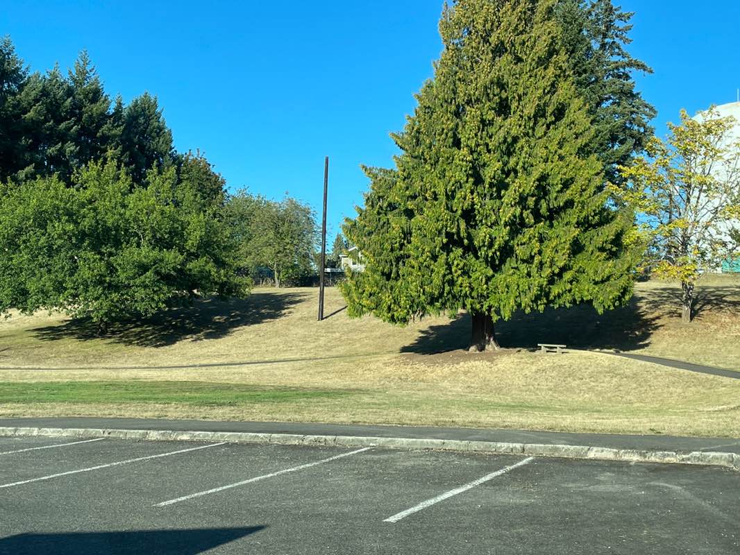 walking near me in Hill Tower Park in autumn