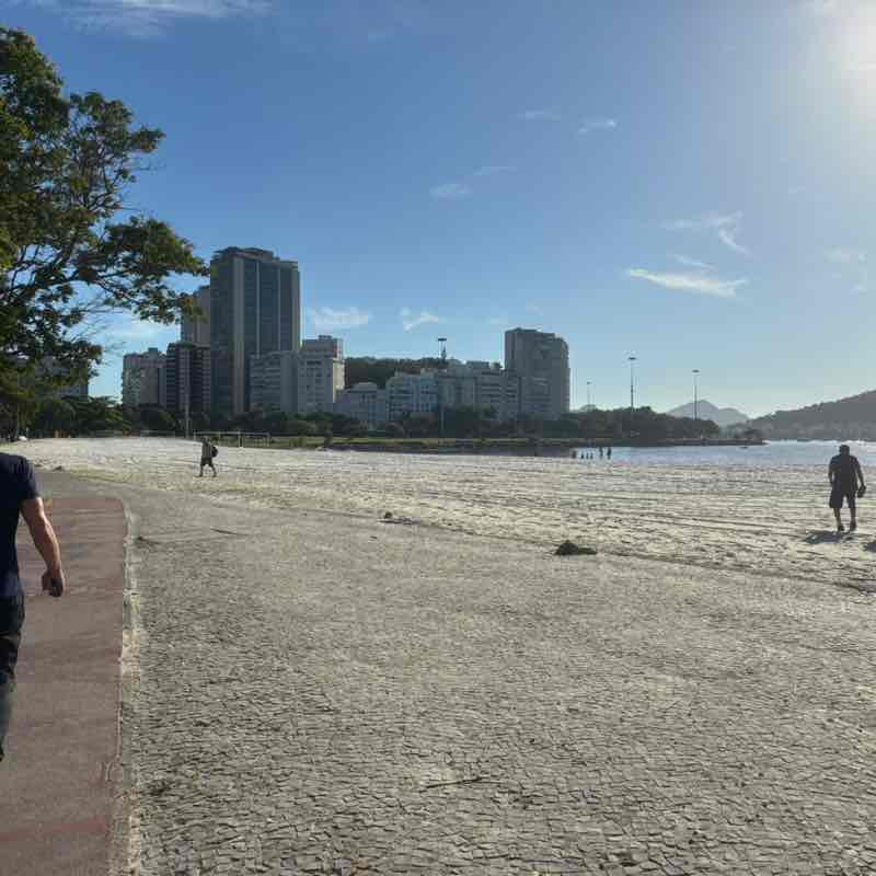 Cat  Lovers Alessandra post image