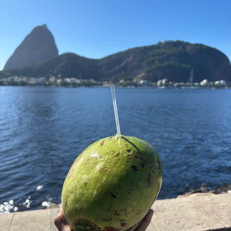 🇧🇷TIME  BRAZIL 🇧🇷 Alessandra post image