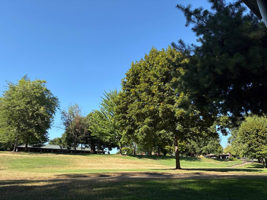 walking near me in Stewart Park in summer