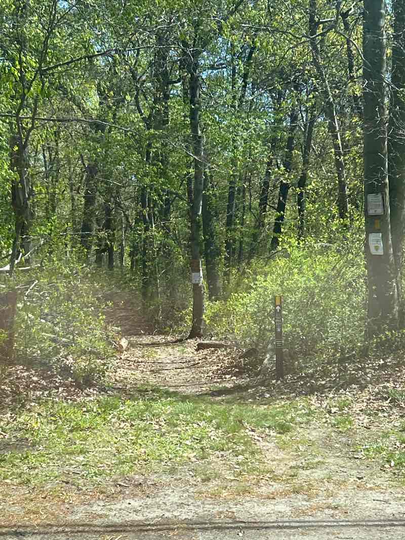 walking near me in Rancocas State Park in spring