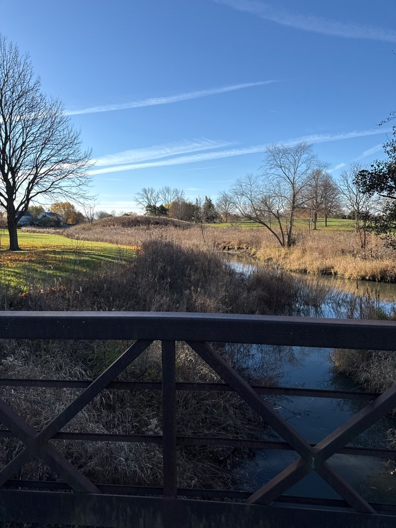walking near me in Willow Stream Park in autumn