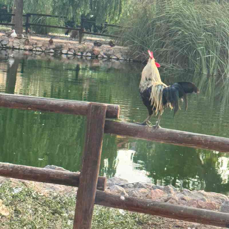 Daniela Massage 🇨🇭 post 1