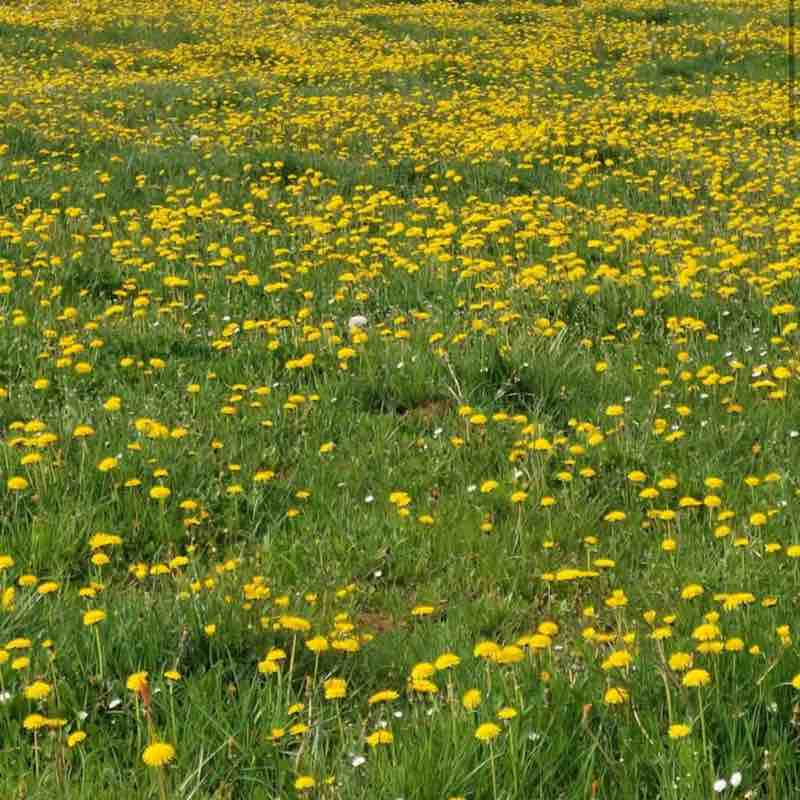 August 5k Race #1 CHANTAL post image