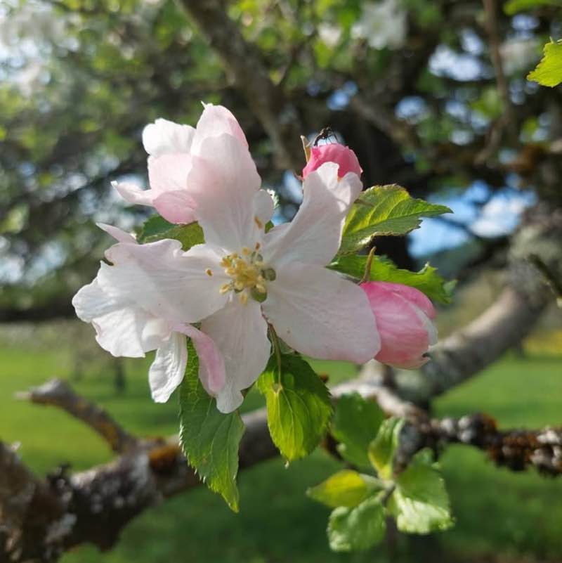 August 5k Race #1 CHANTAL post image