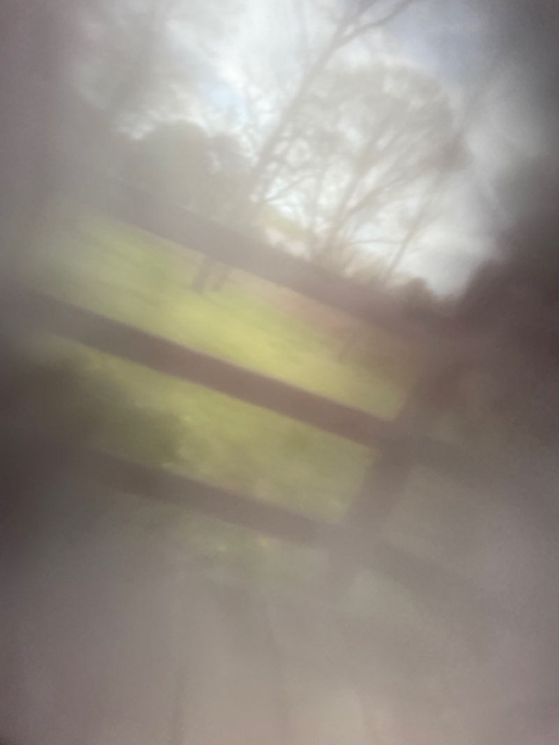 walking near me in Museum Arboretum in winter