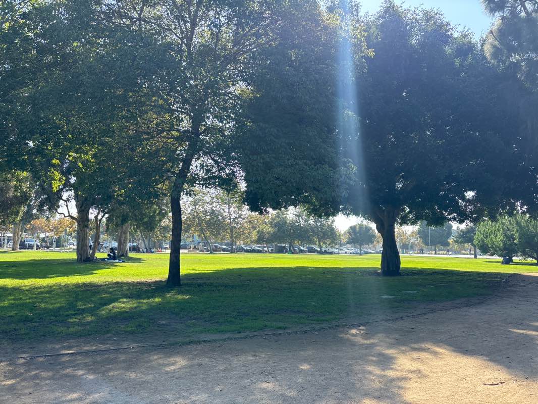 walking near me in Virginia Avenue Park in autumn