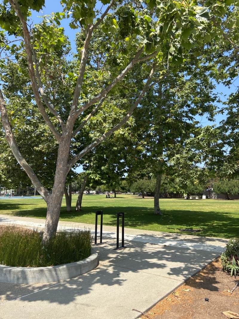 walking near me in Memorial Park in spring