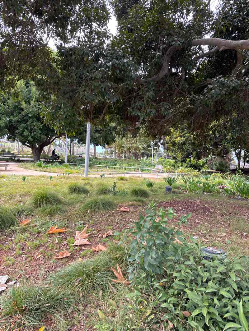 walking near me in Tongva Park in autumn