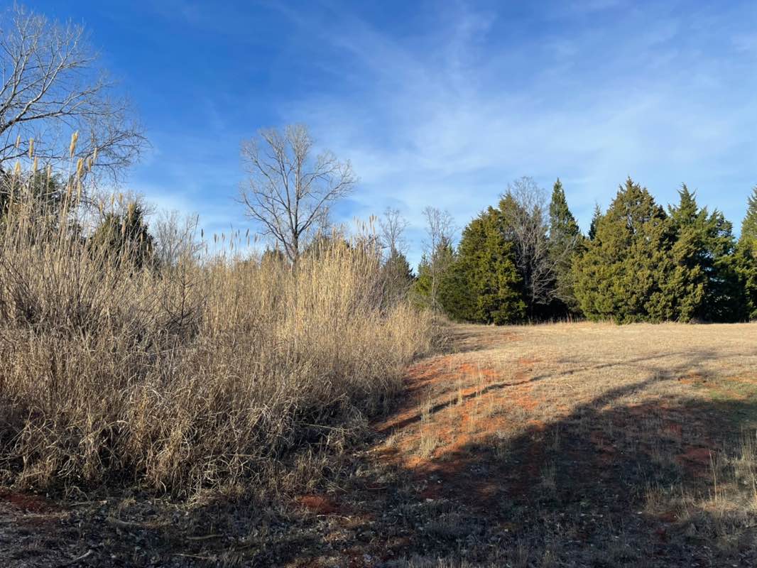 walking near me in Riley Park in winter