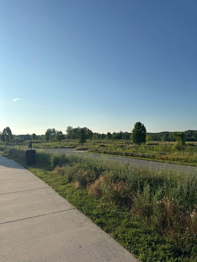 walking near me in Millennium Park in summer