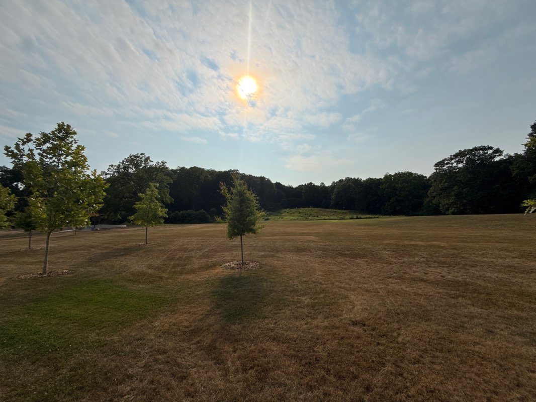 walking near me in Johnson Park in summer