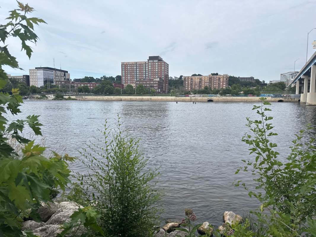 walking near me in Sixth Street Bridge Park in summer