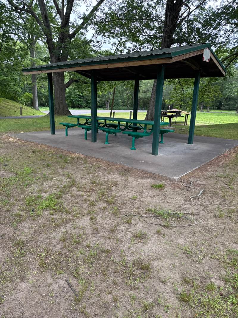 walking near me in Martin Park in summer