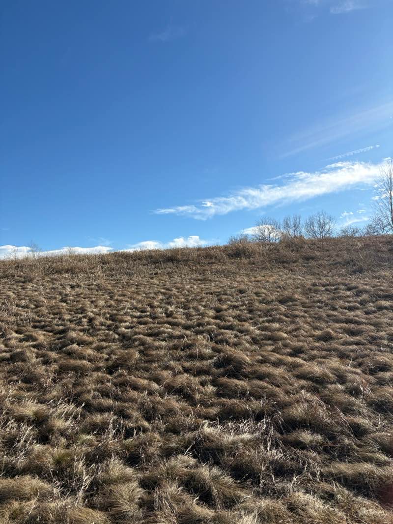walking near me in Russell Park in winter