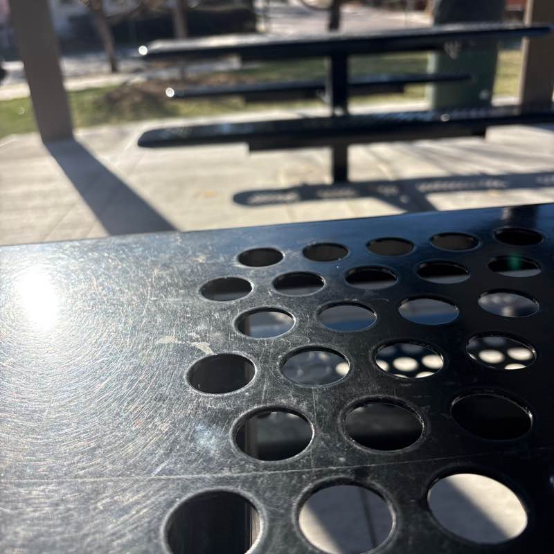 Elgatosalvaje303 post 1