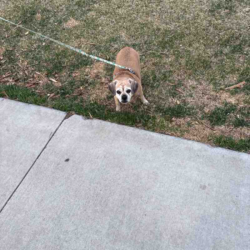 Elgatosalvaje303 post 1