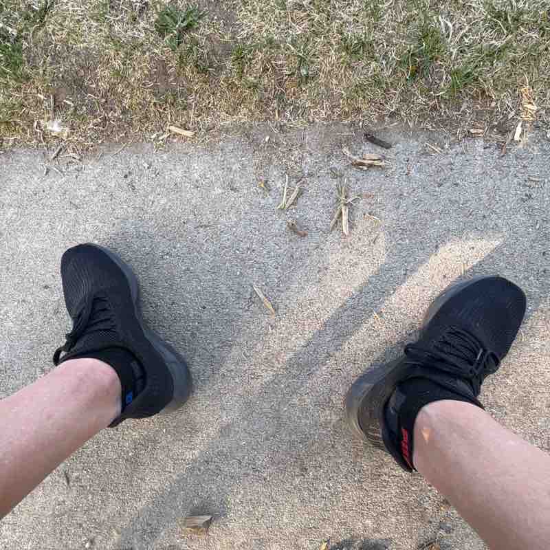 Elgatosalvaje303 post 1
