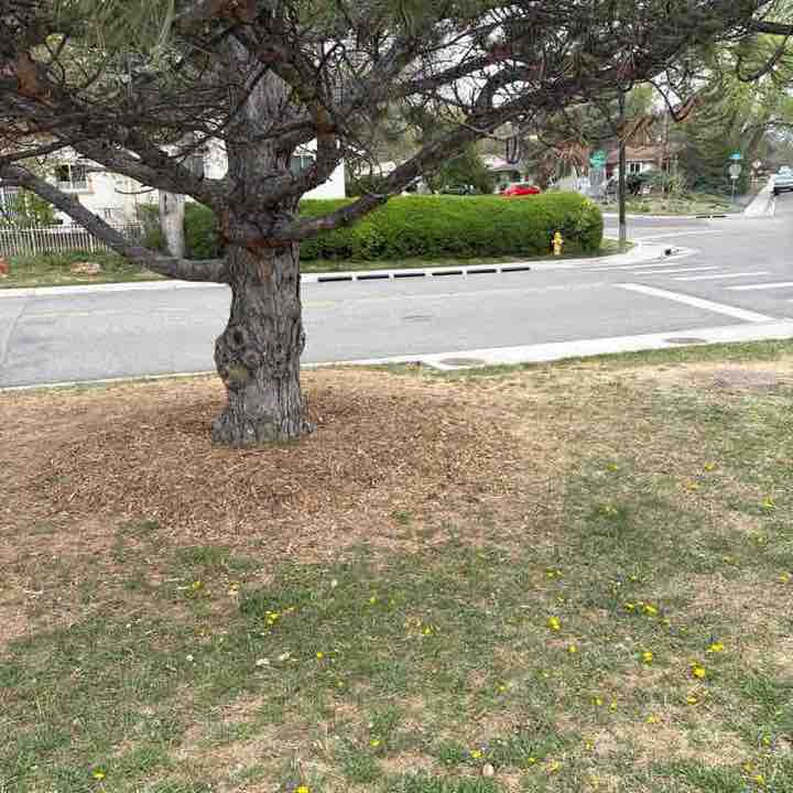 Elgatosalvaje303 post 1