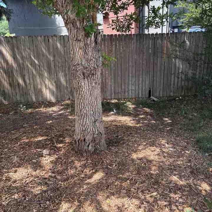 Elgatosalvaje303 post 1