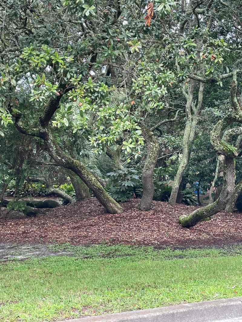 walking near me in Springs Park in autumn