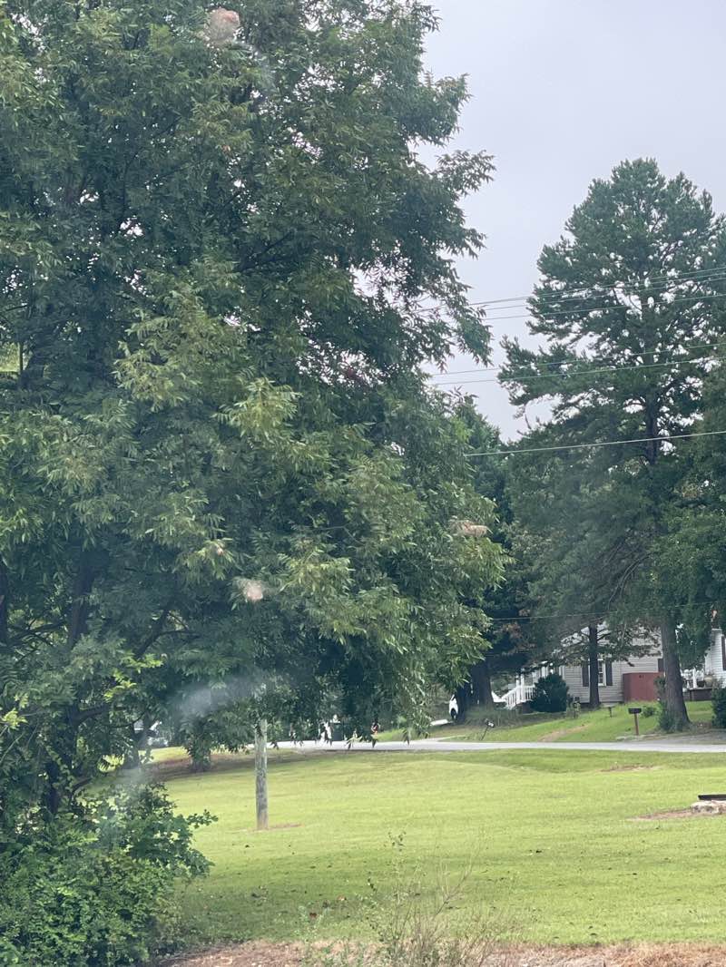 walking near me in Dothan Park in autumn