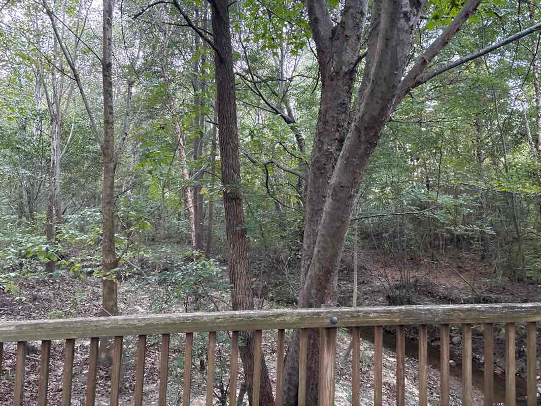 walking near me in Morrisville Community Park in autumn