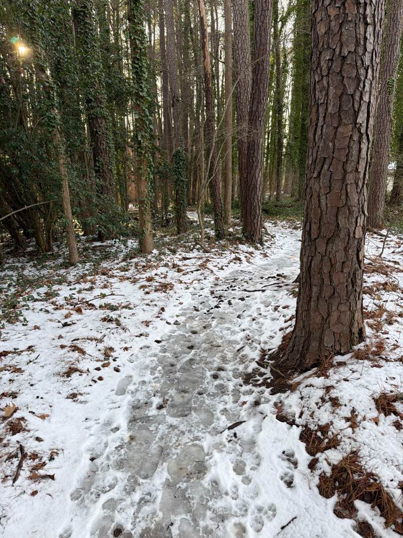 walking near me in South Garner Park in winter