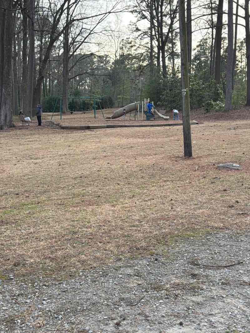 walking near me in Jaycee Park of Garner in winter