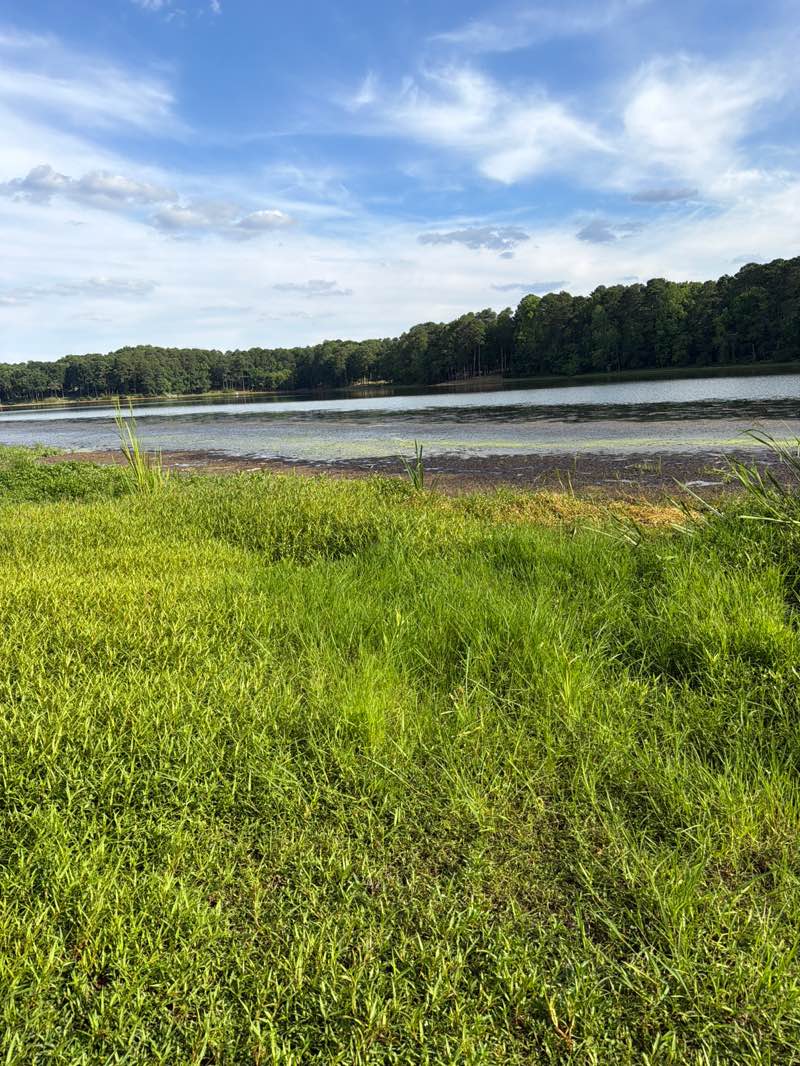 walking near me in Lake Benson Park in summer