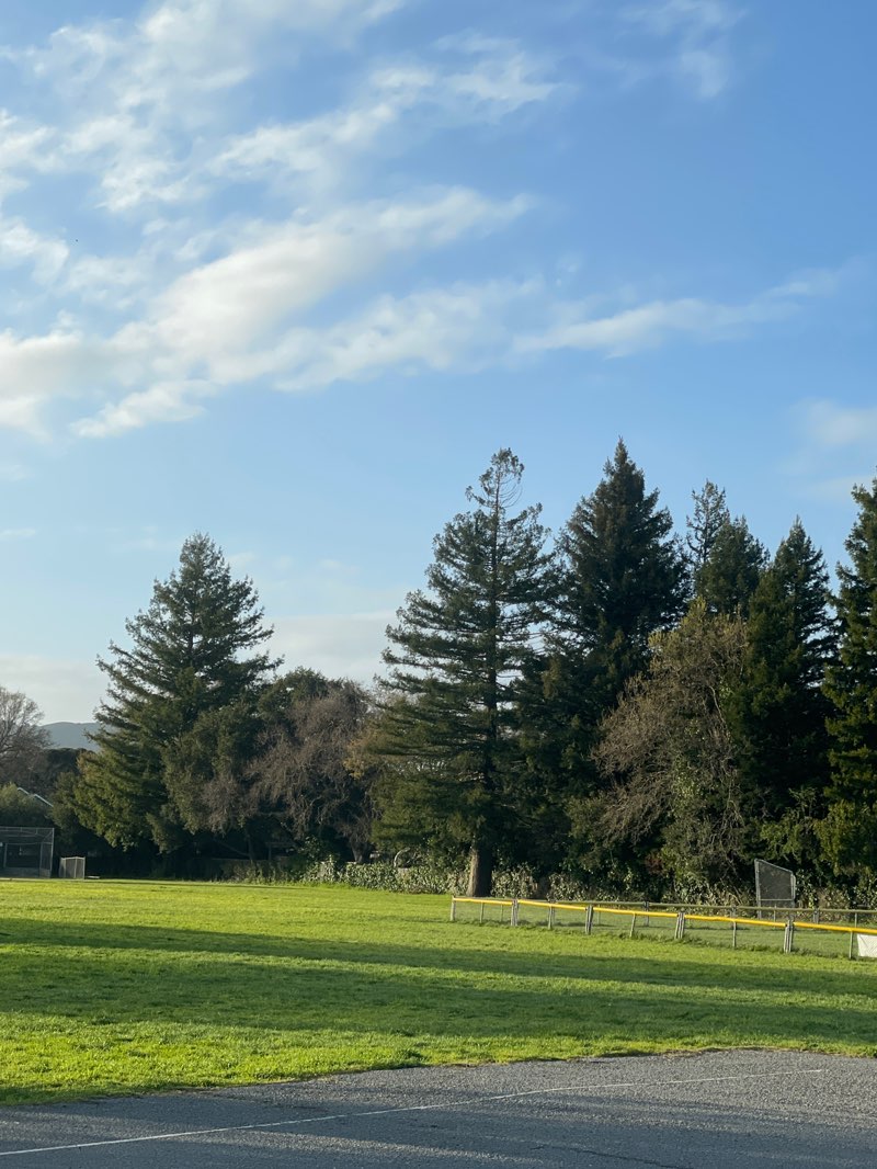 walking near me in Sutton Park in spring