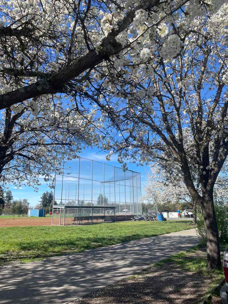 walking near me in Tom Schopflin Fields in spring