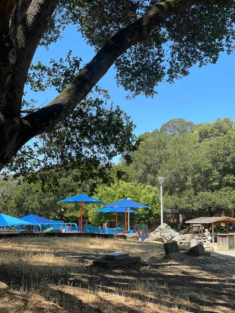 walking near me in Pioneer Park in summer