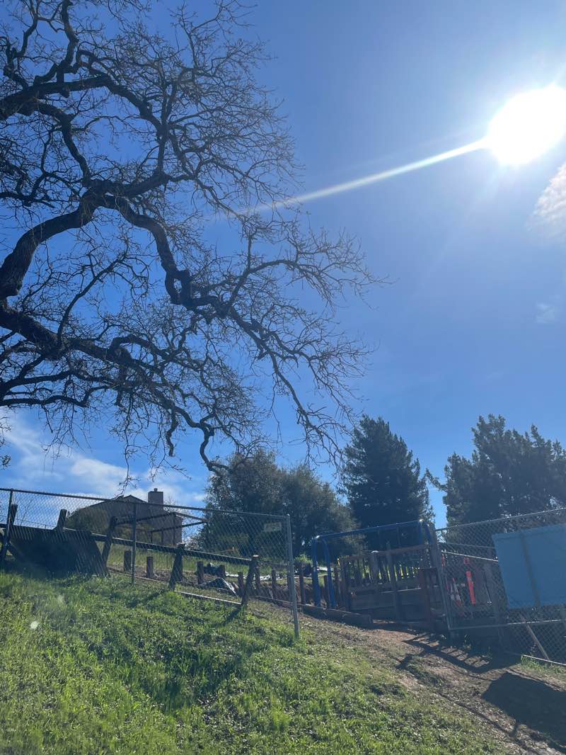 walking near me in Lynwood Hill Park in winter