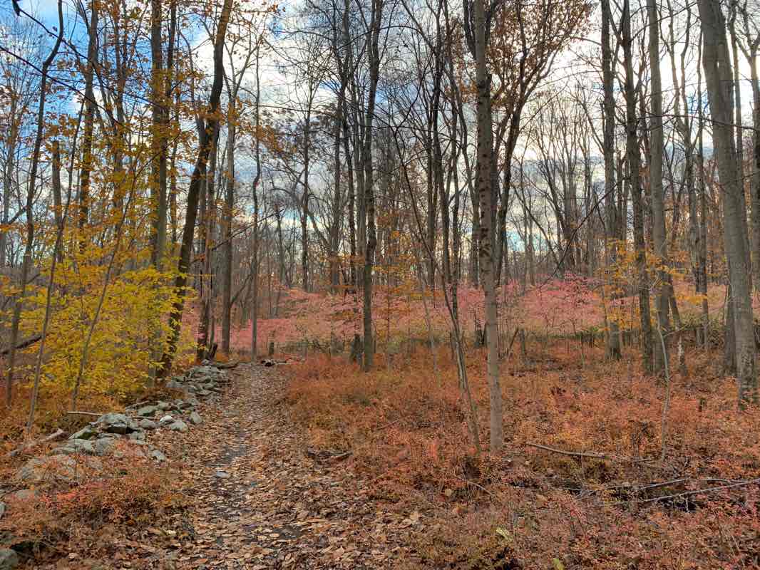 walking near me in Alice Newton Street Memorial Park in winter