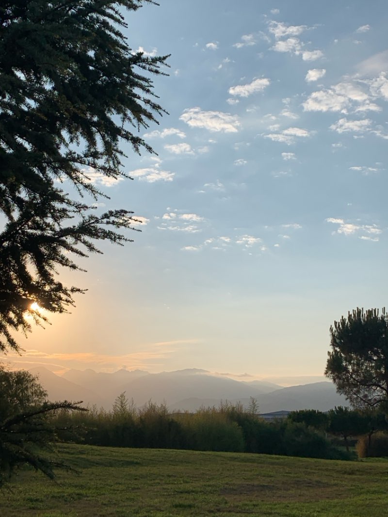 walking near me in Природный орнитологический парк в Имеретинской низменности. Кластер 6 in winter