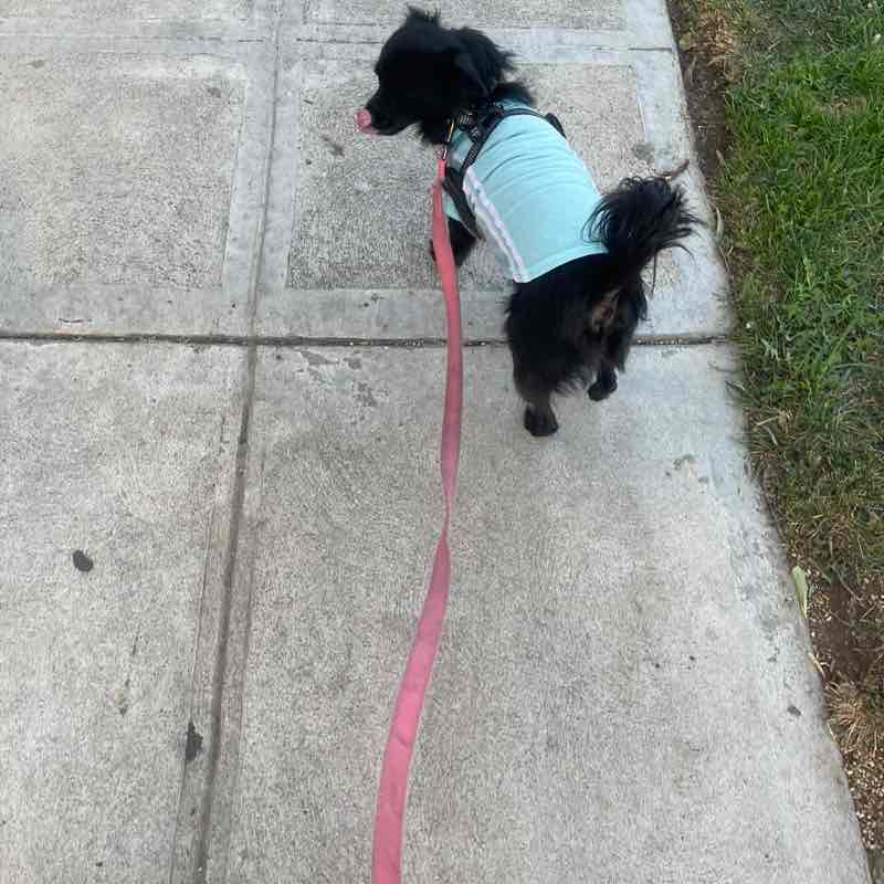 👣Evaluz 👣 post 1