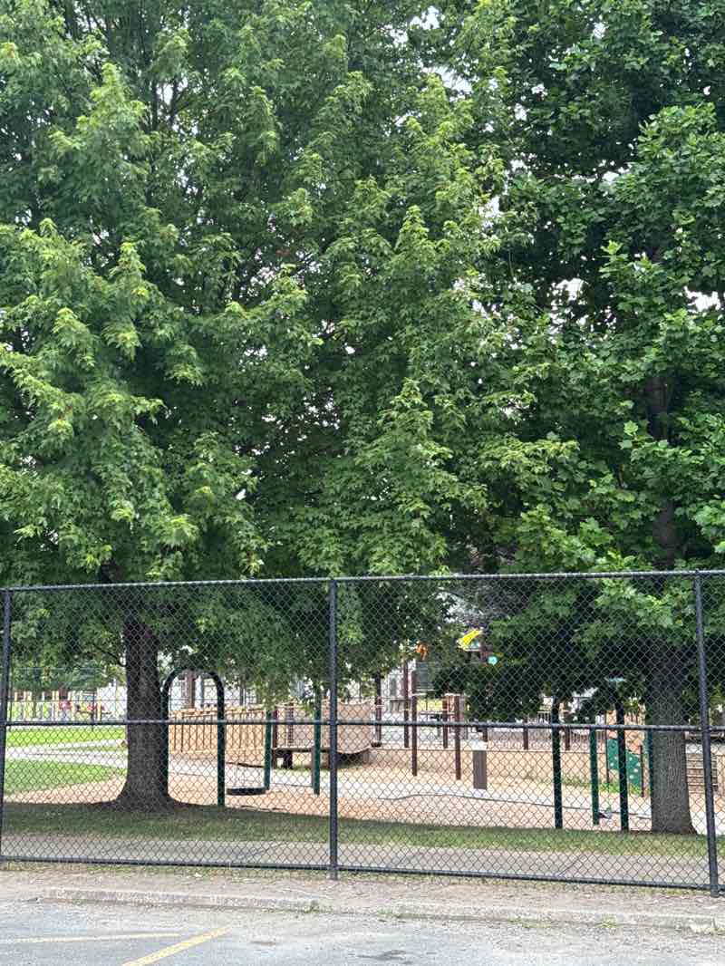 walking near me in Airport Park in autumn