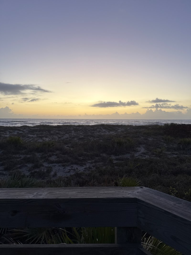 walking near me in Lori Wilson Park in spring