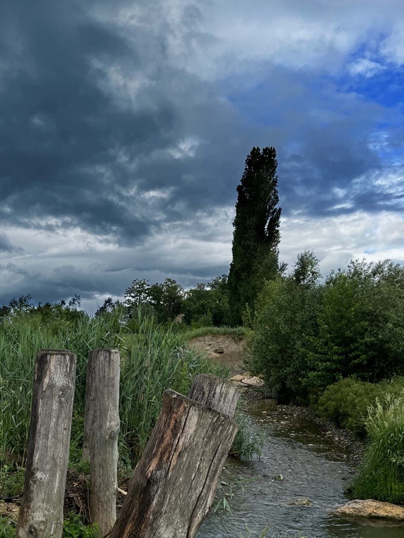 walking near me in Parc Tressy-Cordy in winter