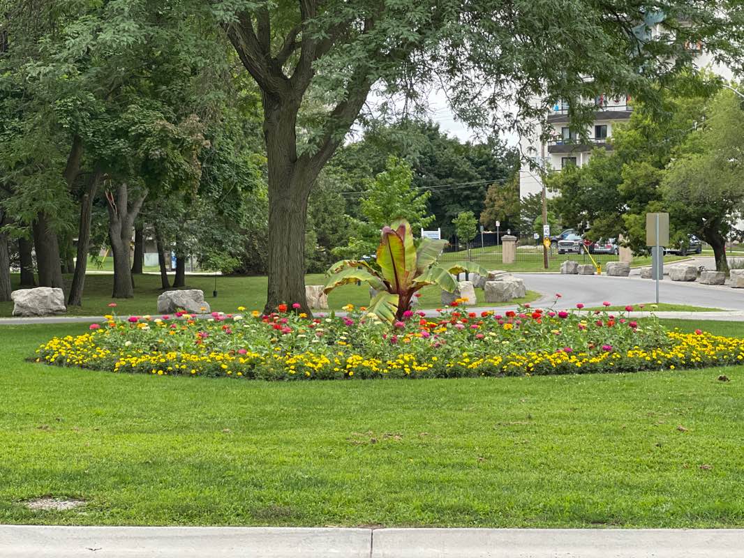 walking near me in Canatara Park in winter