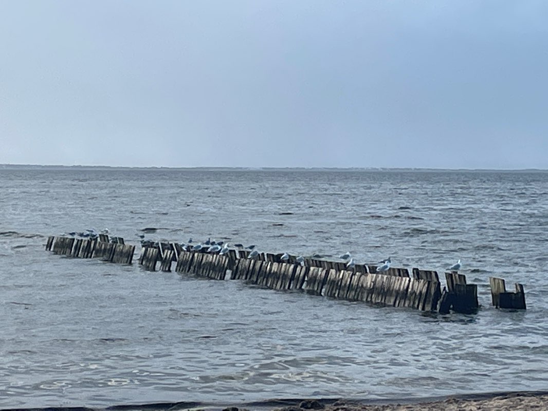 walking near me in Foster Ave Park in winter