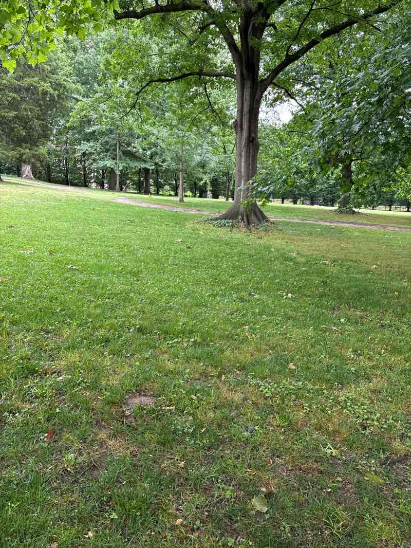walking near me in Philbrook Gardens in summer
